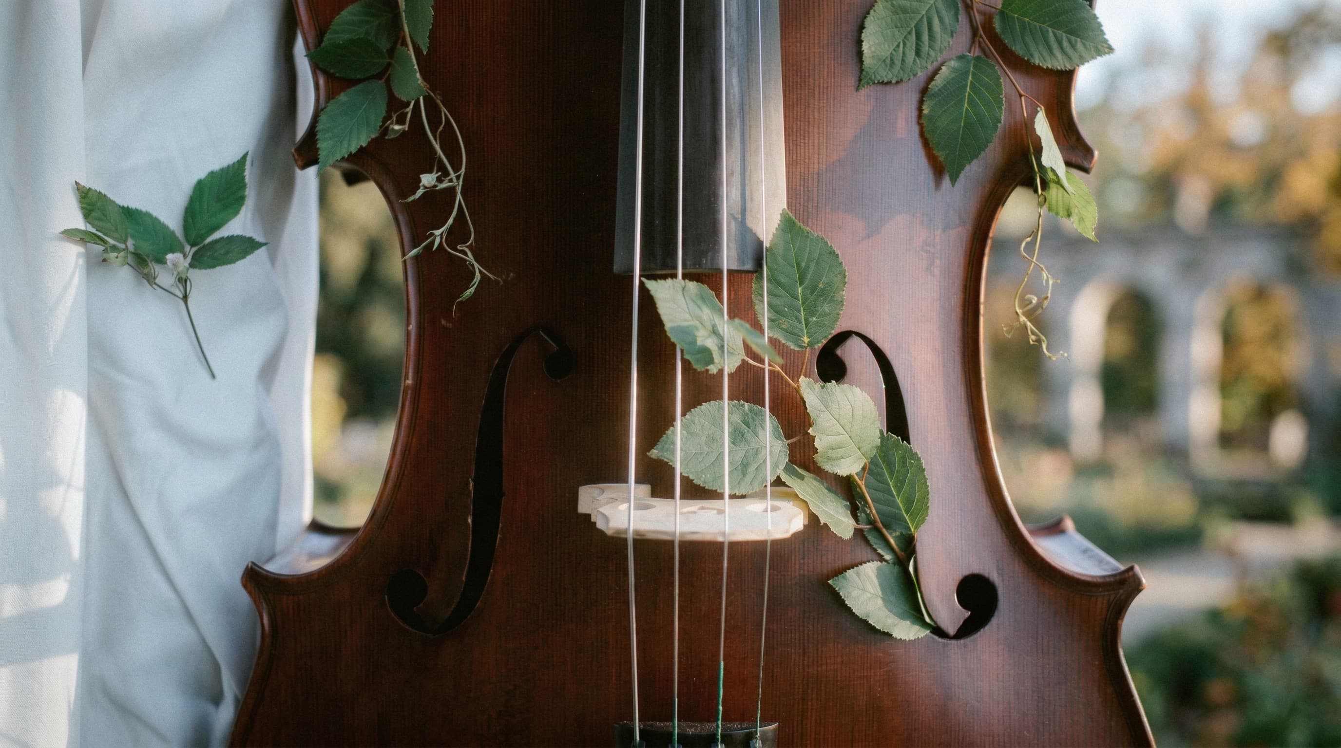 Close portrait of cello performance